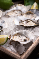 Oysters on crushed ice close up