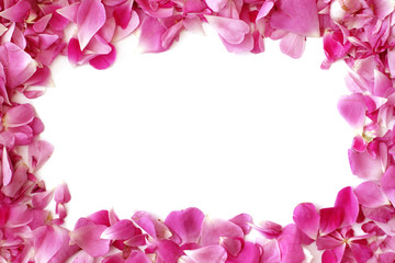 Frame from pink rose petals with place for test or photo