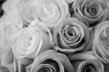Engagement Ring in a Rose Black and White