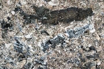 Ashes, cinders, burnt coals.