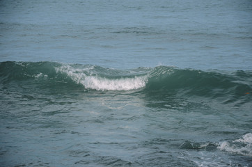 Obraz premium Wave