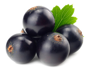 black currant with green leaf isolated on white background. macro