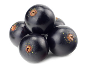 black currant isolated on white background. macro