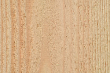 Close-up of a Board of light wood with a stripes