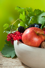 Fruit bowl and vines