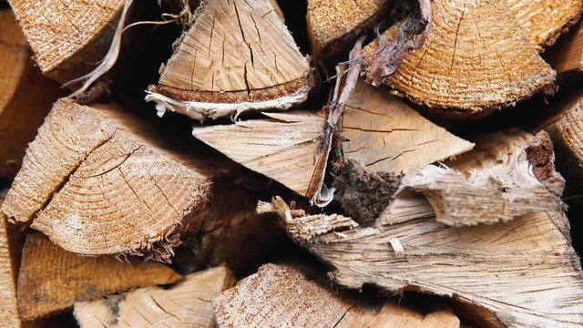 The chopped and sawn trunks of trees is stacked in a large log woodpile in the yard. Stacked firewood prepared for the fireplace and stove, dolly shot.