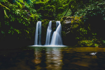 Beautiful natural waterfall deep inside the islands of Azores, Portugal. Green grass and crystal clear water. #6