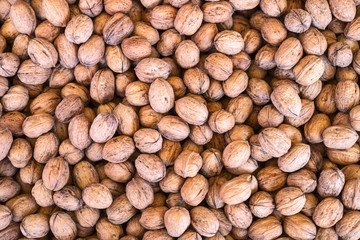 Walnut background texture