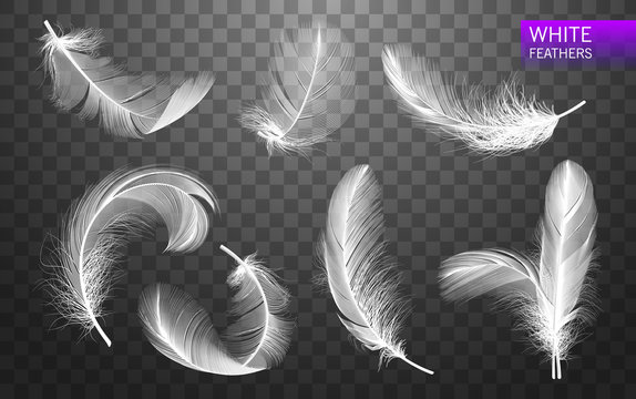 Set of isolated falling white fluffy twirled feathers on transparent background in realistic style. Vector Illustration