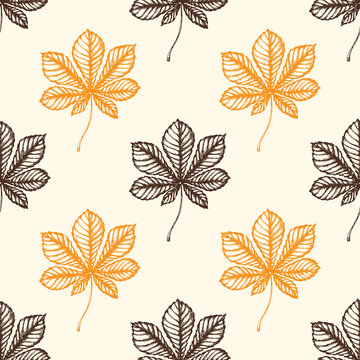 Autumn pattern with chestnut leaves