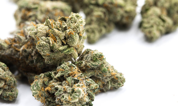 Weed