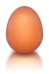 chicken egg isolated background with reflection / bright colorful object photo with reflection