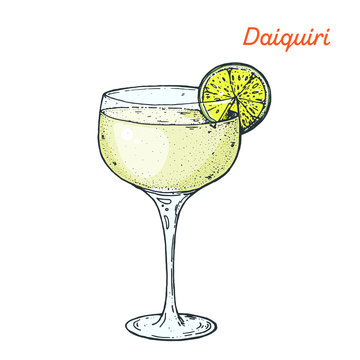 Daiquiri Cocktail Illustration. Alcoholic Cocktails Hand Drawn Vector Illustration.