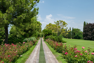 Parco Giardino Sigurt&agrave; - Viale delle Rose (Valeggio sul Mincio, Verona, Italia)