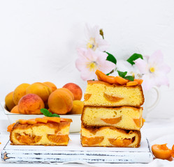 stack of baked square slices of a biscuit pie with apricots