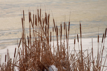 Fototapeta premium Great Salt Lake Landscapes