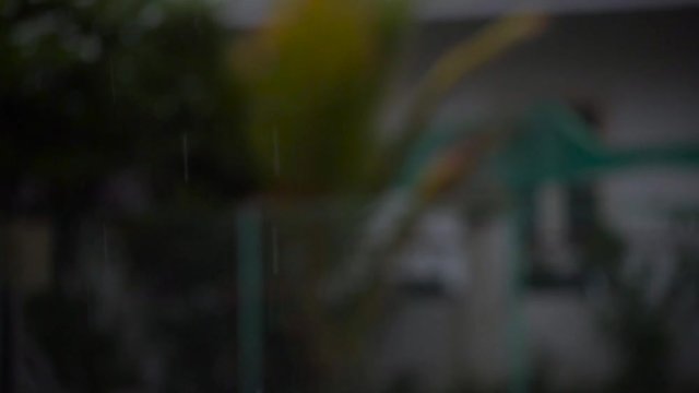 Indian street rain footage