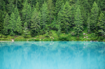 Forest and turquoise lake in the Dolomites apls, Italy. Sorapis lake in the Italy. Beautiful landscape at the summer time