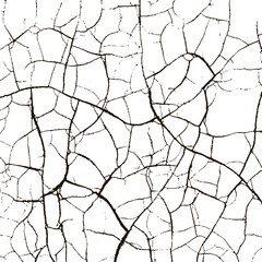 Obraz premium crack vector