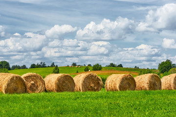 Straw roll on a green field with a beautiful sky.