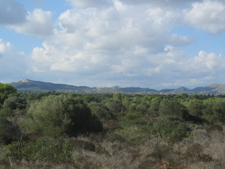 Dry landscape in mallorca, spain