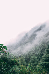 Fototapeta na wymiar Mist in Mountain Ridge