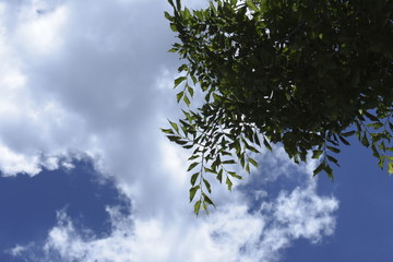 Summer