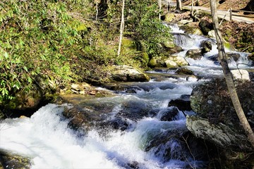 The beautiful view of Anna Ruby Falls in the wintertime with forest as the background,Helen GA USA.