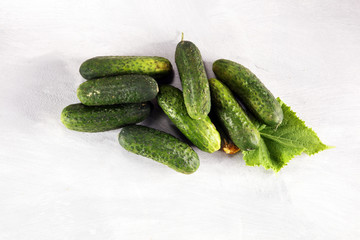 Fresh green cucumber with leaf and flower natural vegetables organic food