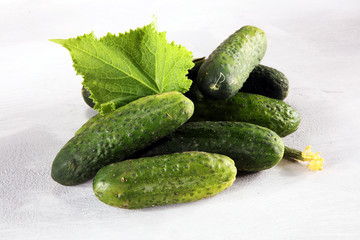 Fresh green cucumber with leaf and flower natural vegetables organic food