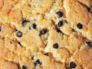 Chocolate chip cookies texture background. Fresh baked background, surface vanilla cookie with chocolate crumbs, close-up. Sweet biscuits - obrazy, fototapety, plakaty