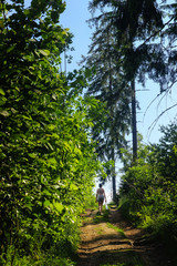 girl walking and holding bottle of water on the forest sunny road in summer, traveling in mountains