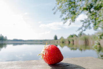  red strawberry near the blue lake