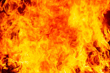 Fototapeta premium blaze fire flame texture background