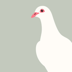 dove bird vector illustration flat style front 
