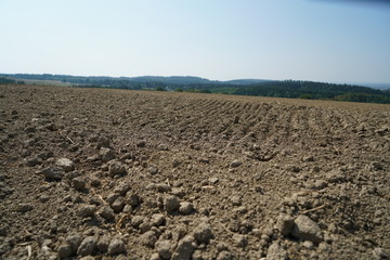 Die extreme Hitze in Deutschland führt in der Landwirtschaft zu enormen Einbußen in der Ernte von...