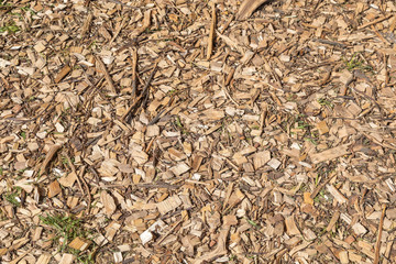 Fresh wood spill is filled evenly on a floor. A background for design. Horizontal shot