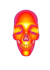3d illustration of human skull