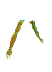 3d illustration of human arms muscles