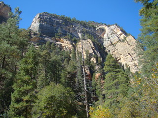 View of Red Rocks in West Fork of Oak Creek Canyon