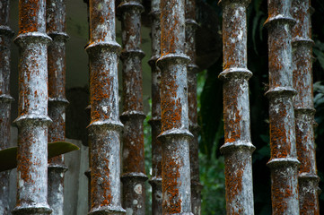 Plantas de bamboo hechas de cemento 