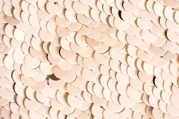 Sequins sequins of pink color. Decorative accessories for sewing and embroidery. A round shape of brilliant paiet. Macro photography