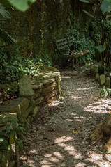 Banca cubierta por plantas 