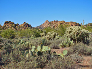 View on Garden Valley Trail in Superstition Wilderness