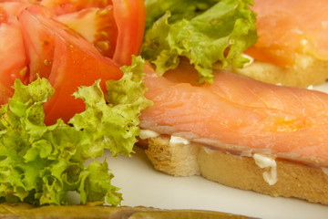 Dish of sandwiches with red fish tomato and greens.