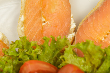 Dish of sandwiches with red fish tomato and greens.