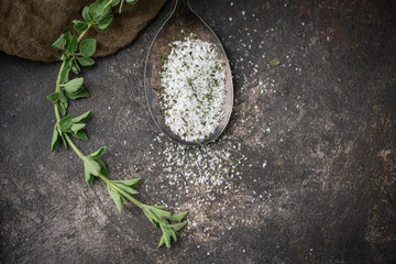 Oregano Herb Salt in Tarnished Spoon on Black Background with Fresh Sprig of Oregano