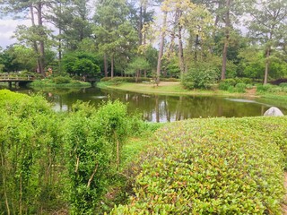 Fototapeta na wymiar Garden pond