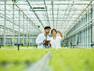 Team of scientists examining green sprouts