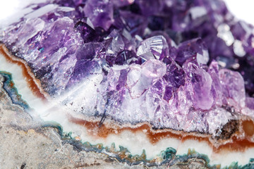 Amethyst Crystal Druse  macro mineral on white background